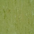 �������������: Armstrong, ���������: Linodur LPX , ����: 151011