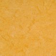 �������������: Armstrong, ���������: Marmorette PUR , ����: 072