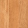 �������������: Armstrong, ���������: Timberline PUR 331 , ����: 041