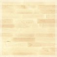 �������������: Barlinek, ���������: PROFESSIONAL parket , ����: 009