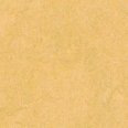 �������������: FORBO, ���������: Marmoleum Fresco , ����: 3846
