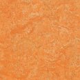 �������������: FORBO, ���������: Marmoleum Fresco , ����: 3847