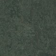 �������������: FORBO, ���������: Marmoleum Fresco , ����: 3866