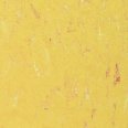 �������������: FORBO, ���������: Marmoleum Piano , ����: 3606