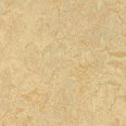 �������������: FORBO, ���������: Marmoleum Real , ����: 3038