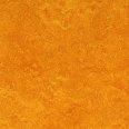 �������������: FORBO, ���������: Marmoleum Real , ����: 3125