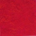 �������������: FORBO, ���������: Marmoleum Real , ����: 3131