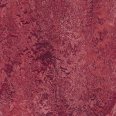 �������������: FORBO, ���������: Marmoleum Real , ����: 3164