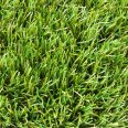 �������������: JUTA, ���������: WNNER 55140 , ����: green2