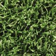 �������������: JUTAGrass, ���������: 4play , ����: green1