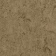 �������������: TARKETT, ���������: Linoleum , ����: 1872607
