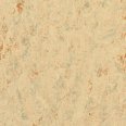 �������������: TARKETT, ���������: Linoleum , ����: 1872611
