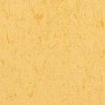 �������������: TARKETT, ���������: Linoleum , ����: 1872612