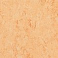 �������������: TARKETT, ���������: Linoleum , ����: 1872615