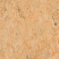 �������������: TARKETT, ���������: Linoleum , ����: 1872616