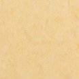 �������������: TARKETT, ���������: Linoleum , ����: 1872619
