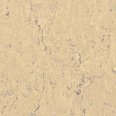 �������������: TARKETT, ���������: Linoleum , ����: 1872624