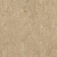 �������������: TARKETT, ���������: Linoleum , ����: 1872625