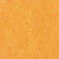 �������������: TARKETT, ���������: Linoleum , ����: 1872628