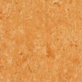 �������������: TARKETT, ���������: Linoleum , ����: 1872634