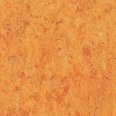�������������: TARKETT, ���������: Linoleum , ����: 1872636
