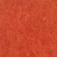 �������������: TARKETT, ���������: Linoleum , ����: 1872641