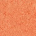 �������������: TARKETT, ���������: Linoleum , ����: 1872642