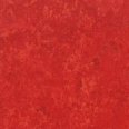 �������������: TARKETT, ���������: Linoleum , ����: 1872645