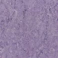 �������������: TARKETT, ���������: Linoleum , ����: 1872649