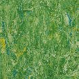 �������������: TARKETT, ���������: Linoleum , ����: 1872650