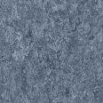 �������������: TARKETT, ���������: Linoleum , ����: 1872662