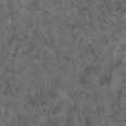 �������������: TARKETT, ���������: Linoleum , ����: 1872673