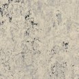 �������������: TARKETT, ���������: Linoleum , ����: 1872684