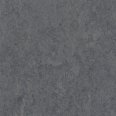 �������������: TARKETT, ���������: Linoleum , ����: 1872686