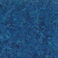 �������������: TARKETT, ���������: Linoleum , ����: 1872688