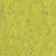�������������: TARKETT, ���������: Linoleum , ����: 1872695