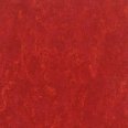 �������������: TARKETT, ���������: Linoleum , ����: 1872744