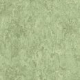�������������: TARKETT, ���������: Linoleum , ����: 1872751