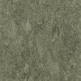 �������������: TARKETT, ���������: Linoleum , ����: 1872752