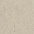 �������������: TARKETT, ���������: Linoleum , ����: 1872793