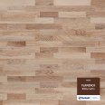 �������������: Tarkett, ���������: FLAMENCO Parket  , ����: 010