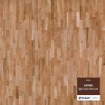 �������������: Tarkett, ���������: SAMBA Parket   , ����: 005