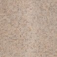 �������������: Tarkett, ���������: SYNGERY 832 laminat , ����: 011