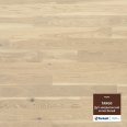 �������������: Tarkett, ���������: TANGO Parket   , ����: 002
