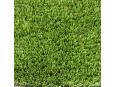 NATURE GREEN