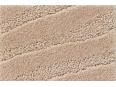 Sahara