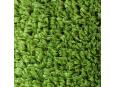Essential 20